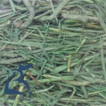 hay_014