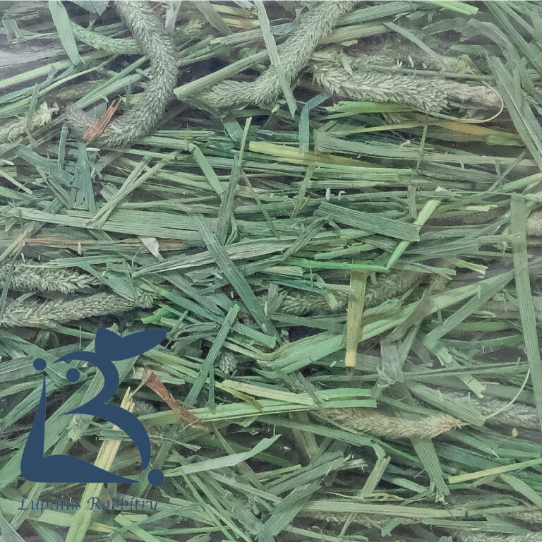 hay_014
