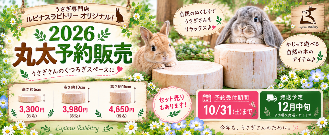 2026丸太予約販売