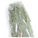 treat_082