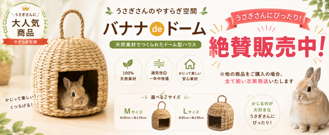 バナナdeドーム 通販バナー 販売中